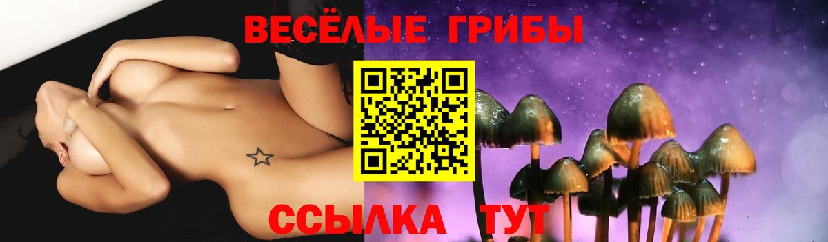Орск  Псилоцибиновые грибы мухоморы  Вход с VPN 